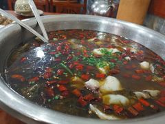 酸菜鱼-陈有良尖椒鸡(渝中示范店)