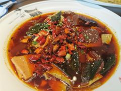 蜀一毛血旺-YUOZUO渝作·川渝冒肚(崂山店)