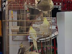 -潇湘·永州会馆(百子湾店)