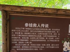 -丹东天桥沟景区