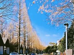 -太阳岛度假酒店