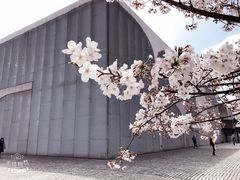 -龙美术馆(西岸馆)