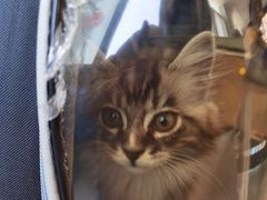 -宠瑞康动物医院