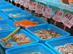 -蚝得喜海鲜(东城店)
