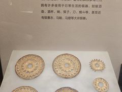 -四川大学博物馆