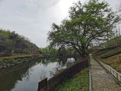 -冶父山国家森林公园