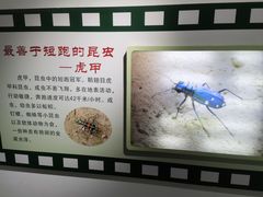 -上海昆虫博物馆