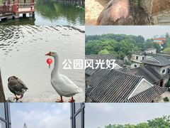-东莞市可园博物馆