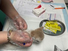 -中农大我爱我爱24h动物医院·中医针灸·猫专科·骨科医疗中心(双井店)