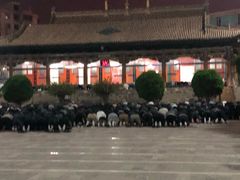 -西宁市东关清真大寺