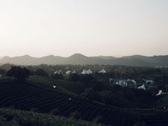 -帐篷客·溪龙茶谷度假酒店