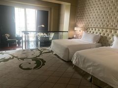 -上海闵行星河湾酒店