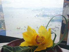 -天龙轩(香港丽思卡尔顿酒店)