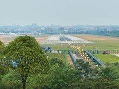 -空港花田景区