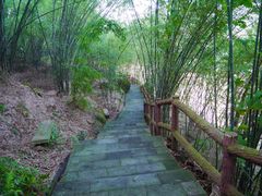 -铁山坪森林公园