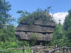 -梭布垭石林景区