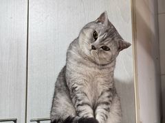 -德元·美联众合24小时动物医院(总院)