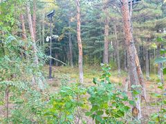 -帽儿山国家森林公园