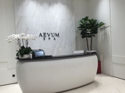 -奥斯芬欧系贵族SPA