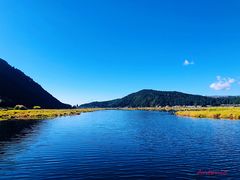 -腾冲北海湿地