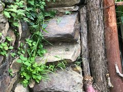 -南窖乡水峪村山情农家