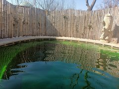 -大连金石滩绿发温泉假日酒店
