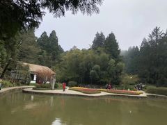 -庐山风景区花径公园