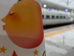 -潍坊站