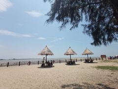 -北海金海湾红树林生态旅游区