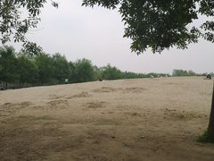 -东郊湿地公园