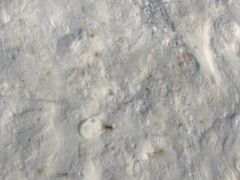 -绿野森林乐园冰雪季