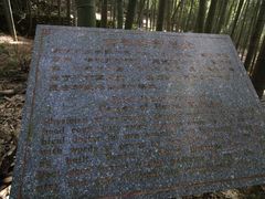 DSC00100&nbsp;百草药园简介-众神白水涧景区