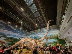 -自贡恐龙博物馆