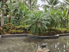 -海南清水湾莱佛士酒店