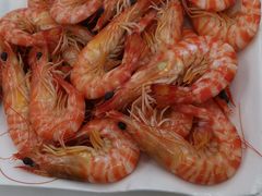 -北戴河庆山饭店·海鲜砂锅粥(北戴河黑石路店)