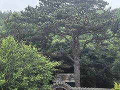 -妙峰山风景名胜区