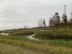 -春花秋色城市公园