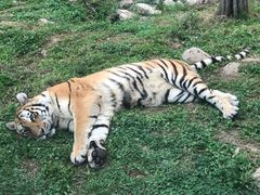 -西安秦岭野生动物园