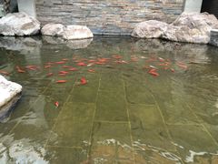 -和园景逸大酒店朗月汤泉