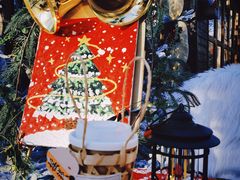 -长白岛森林公园