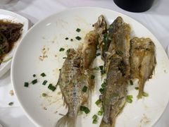 -阳江餐厅·30年老字号·粤菜海鲜大排档