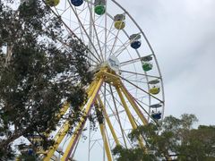 -麦当劳(海洋公园店)