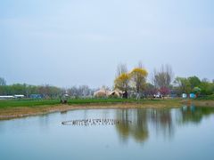 -圣露庄园·露营·烤肉·亲子