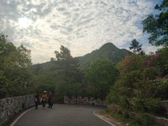 -木兰云雾山