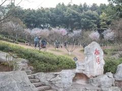 -重庆彩云湖湿地公园