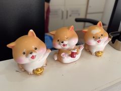 -美联众合动物医院·24h京西诊疗中心