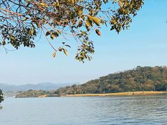 -东钱湖小普陀景区