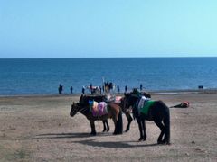 -青海湖国家重点风景名胜区