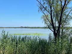 -野鸭湖国家湿地公园