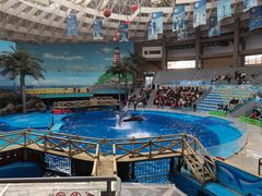 -海合安成都极地海洋公园